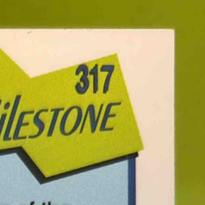 1991-92 Hoops Michael Jordan #317 Chicago Bulls - Sports Cards