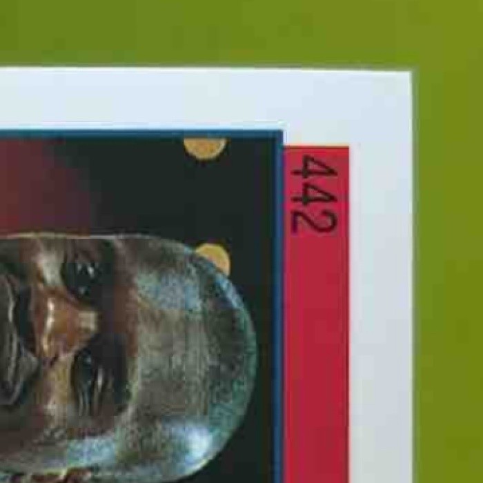 1992-93 Hoops Shaquille O’Neal #442 RC Orlando Magic - Sports Cards