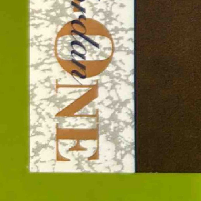 1995 Upper Deck Minor League Michael Jordan One On #10 - Sports Cards