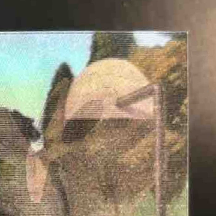 1996 Upper Deck Space Jam Michael Jordan Bugs Bunny Animotion #AN1 - Non-Sports Cards