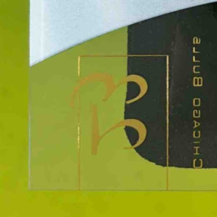 1997-98 Skybox E-X2001 Michael Jordan #9 Chicago Bulls - Sports Cards