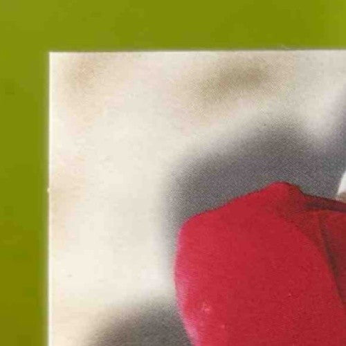 1998 Skybox Hines Ward Autographics #NNO RC Pittsburgh Steelers - Sports Cards