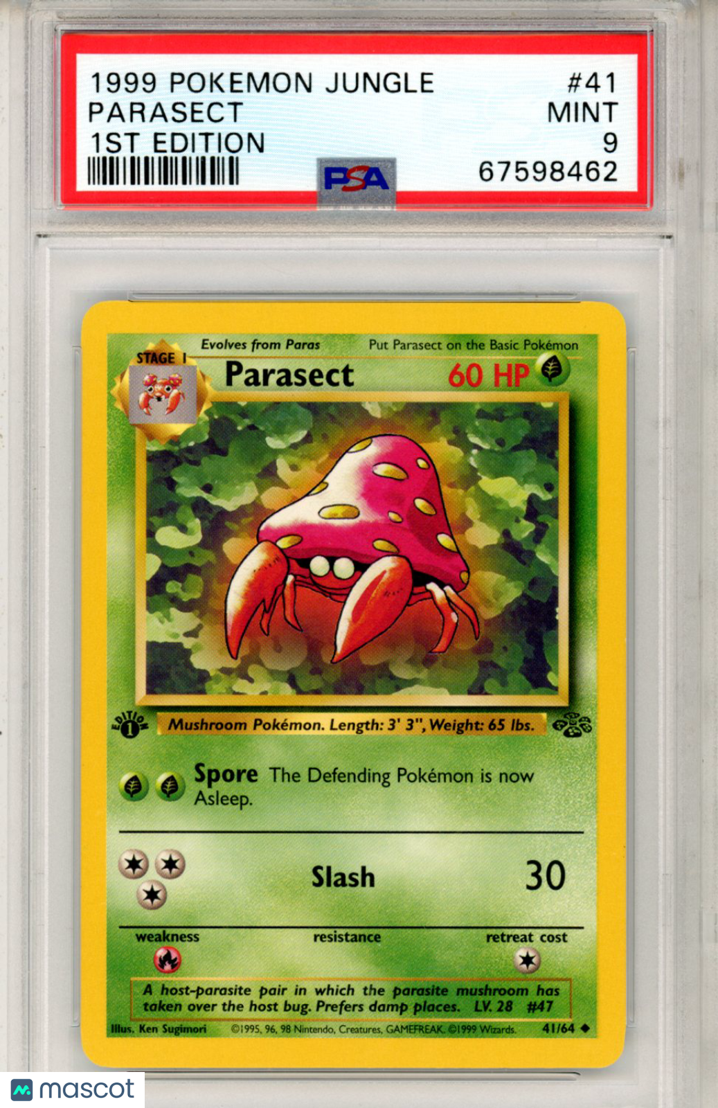 BGS9.5 ゴールドラベル ポケモンカード ジャングル 英語 1999 1st BGS9.5 ゴールドラベル ポケモンカード ジャングル 英語 1999 1st