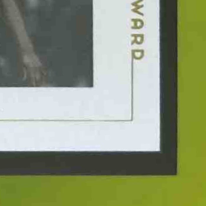 2001-02 Fleer Premium Vince Carter #13 Toronto Raptors - Sports Cards