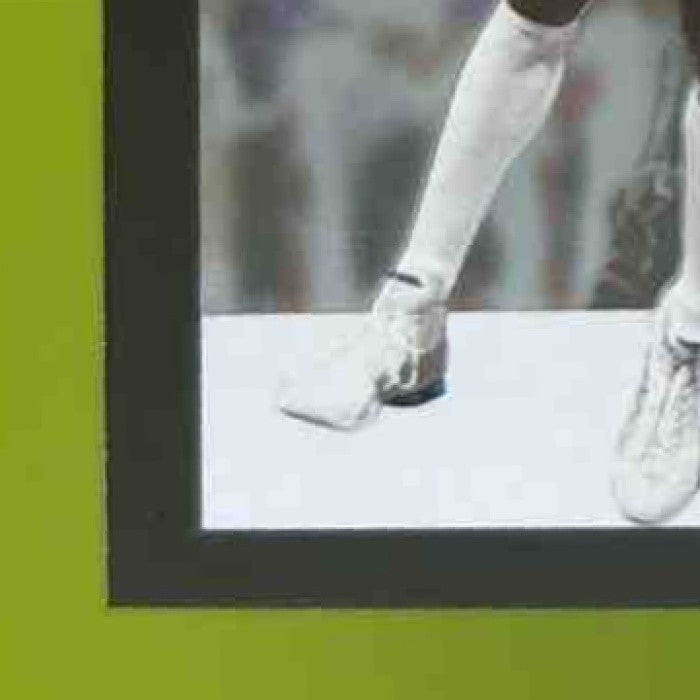 2001-02 Fleer Premium Vince Carter #13 Toronto Raptors - Sports Cards