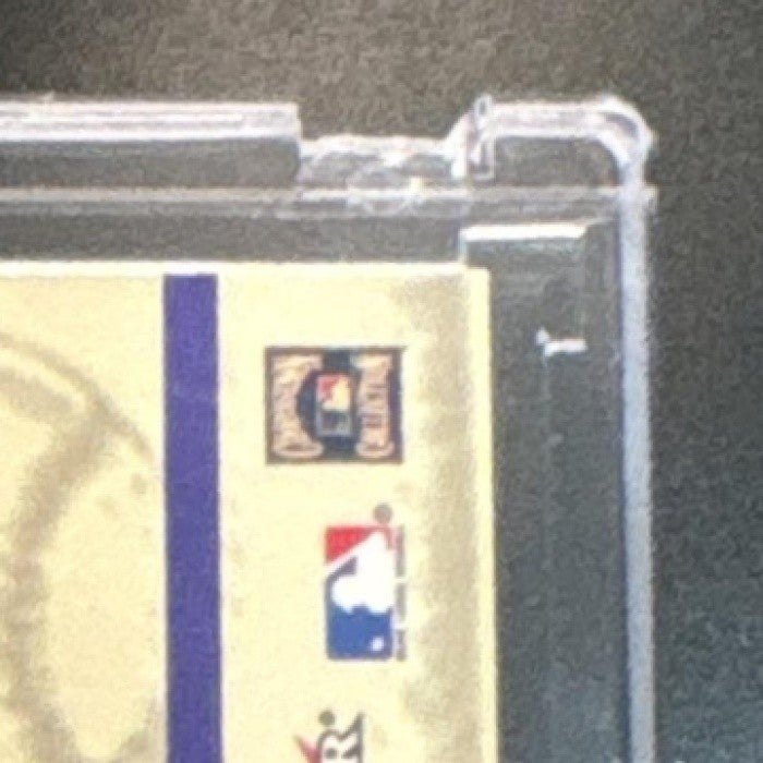 2001 Fleer Platinum 20th National Patch Time Game Used Jersey Mike Schmidt MEM - Sports Cards