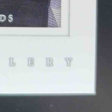 2001 Upper Deck Tiger Woods Gallery #GG4 DJ3 - Sports Cards