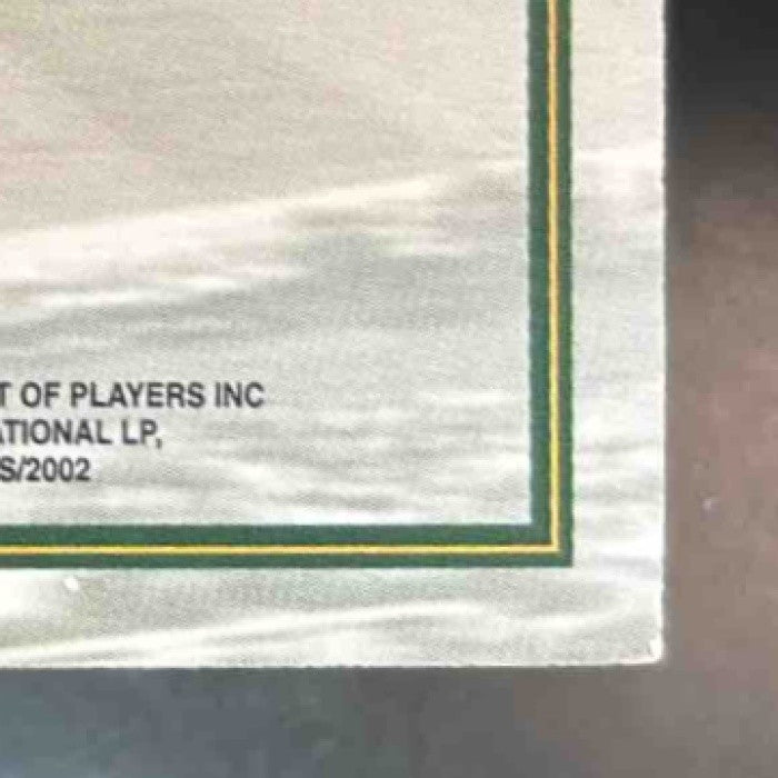 2002 Fleer Throwbacks Ahman Green Lambeau Legends #NNO Bay Packers - Sports Cards