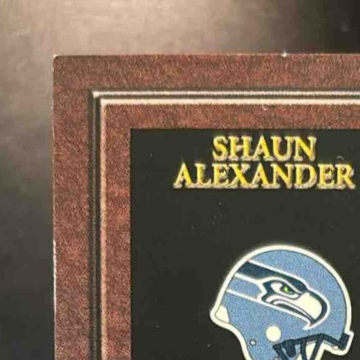 2003 Playoff Hogg Heaven Shaun Alexander Ahman Green Rival Hoggs Patch /125 MEM - Sports Cards