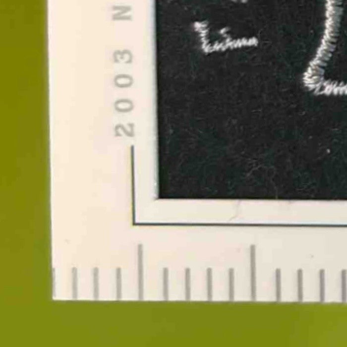 2003 Upper Deck Patch Collection Brett Favre #149 Green Bay Packers - Sports Cards