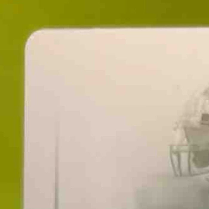 2006 Donruss Playoffs Printing Plate Yellow 1/1 Card #217 Roman Harper - Sports Cards