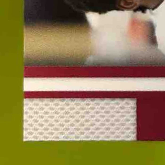 2010 Press Pass Jason Pierre-Paul Saturday Signatures Auto South Florida Bulls - Sports Cards