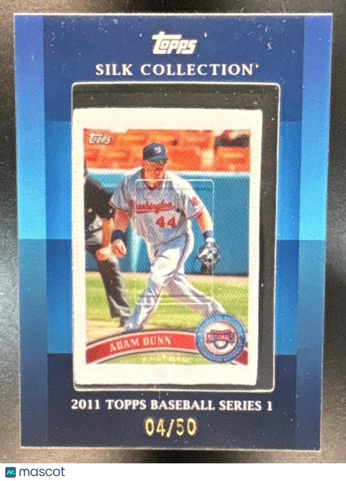 2011 Topps Adam Dunn Silk Collection /50 #15 Washington Nationals - Sports Cards