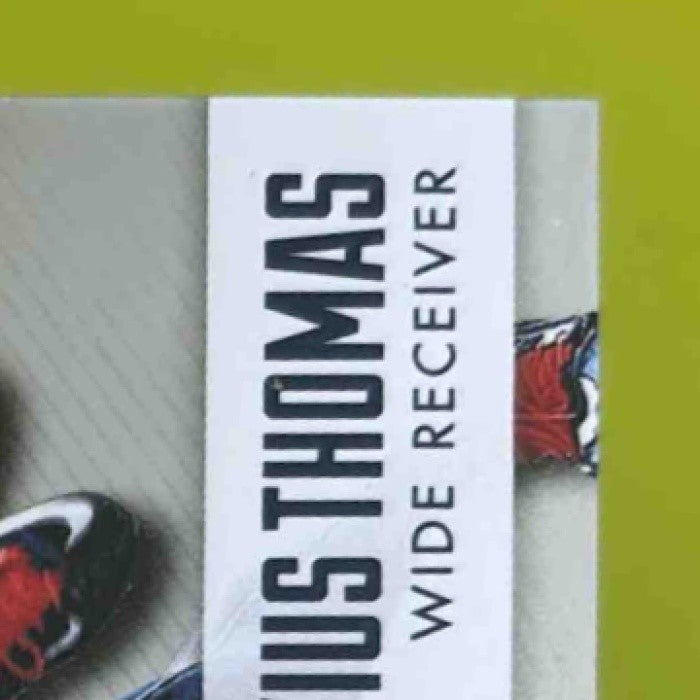 2014 Panini Absolute Demaryius Thomas 20th Anniversary Silver /20 Denver Broncos - Sports Cards