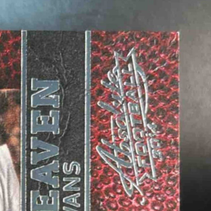 2014 Panini Absolute Mike Evans Hogg Heaven #40 RC Tampa Bay Buccaneers - Sports Cards