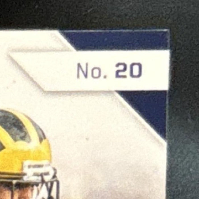 2016 Prizm Collegiate Draft Picks Charles Woodson Stained Glass #20 Michigan - Sports Cards