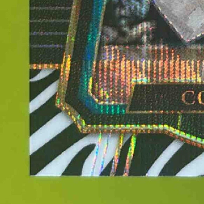 2017-18 Panini Select Cody Zeller Zebra Prizms #133 Charlotte Hornets - Sports Cards