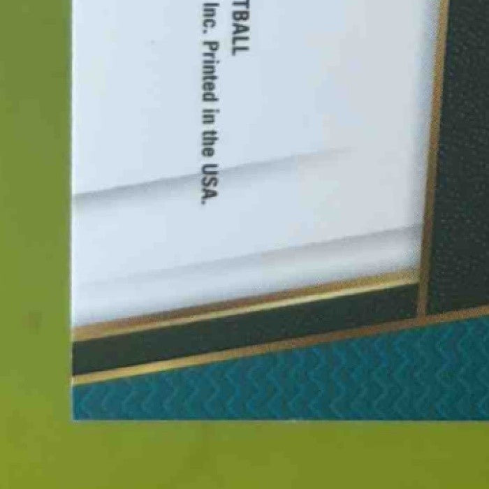 2017-18 Panini Select Cody Zeller Zebra Prizms #133 Charlotte Hornets - Sports Cards