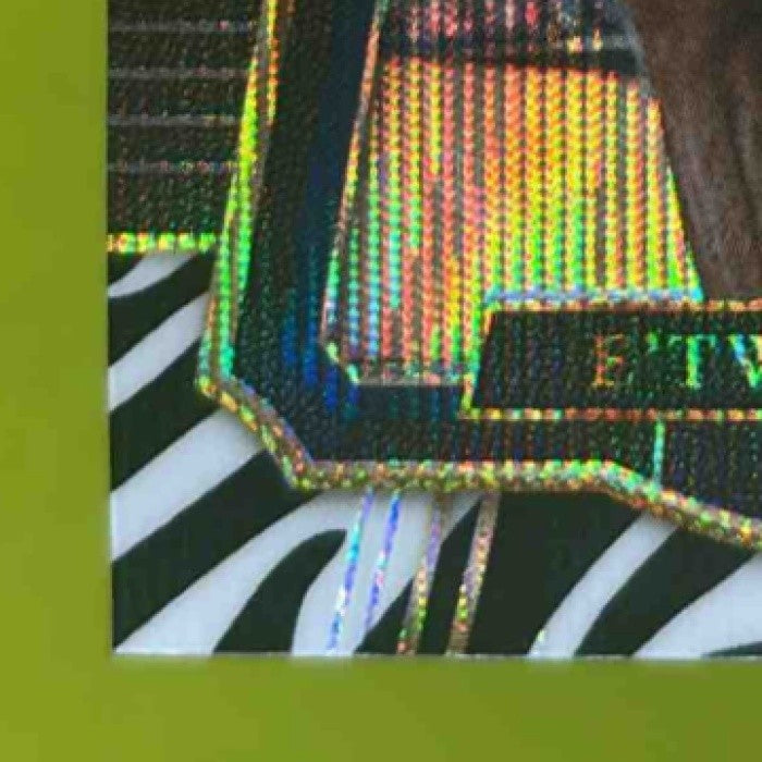 2017-18 Panini Select E Twaun Moore Zebra Prizms #165 l New Orleans Pelicans - Sports Cards