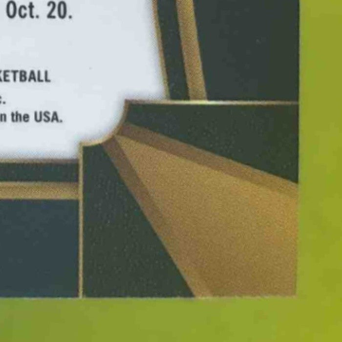 2017-18 Panini Select Gorgui Dieng Zebra Prizms #13 Minnesota Timberwolves - Sports Cards