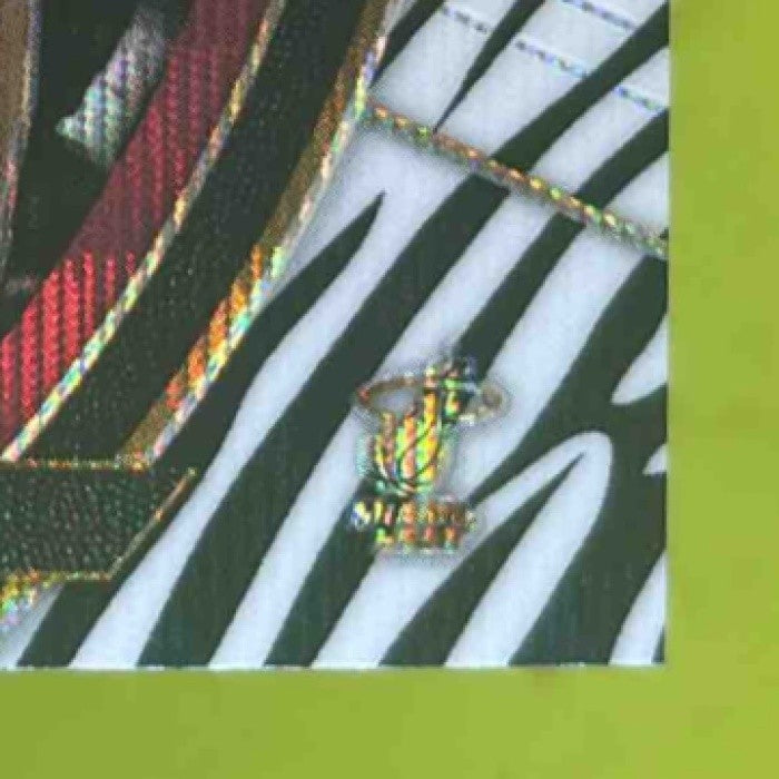 2017-18 Panini Select James Johnson Zebra Prizms #73 Concourse Miami Heat - Sports Cards