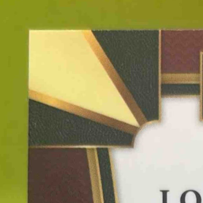 2017-18 Panini Select James Johnson Zebra Prizms #73 Concourse Miami Heat - Sports Cards