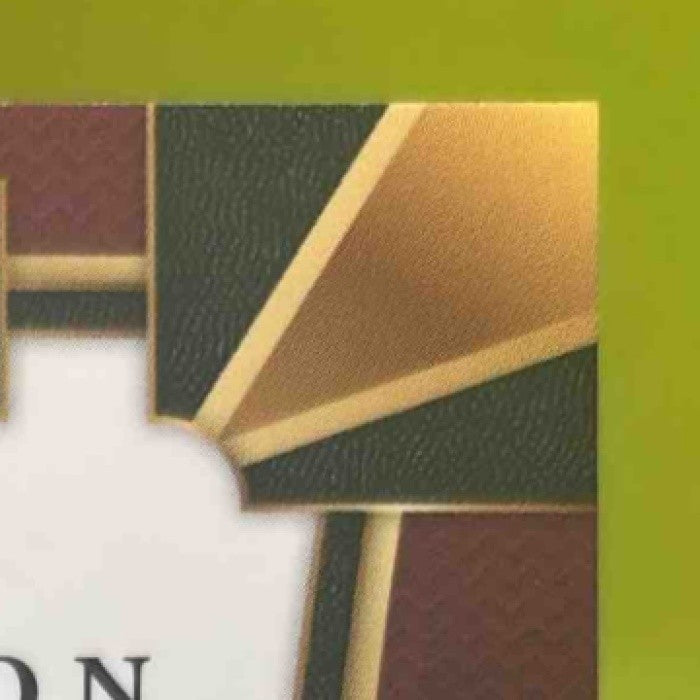 2017-18 Panini Select James Johnson Zebra Prizms #73 Concourse Miami Heat - Sports Cards