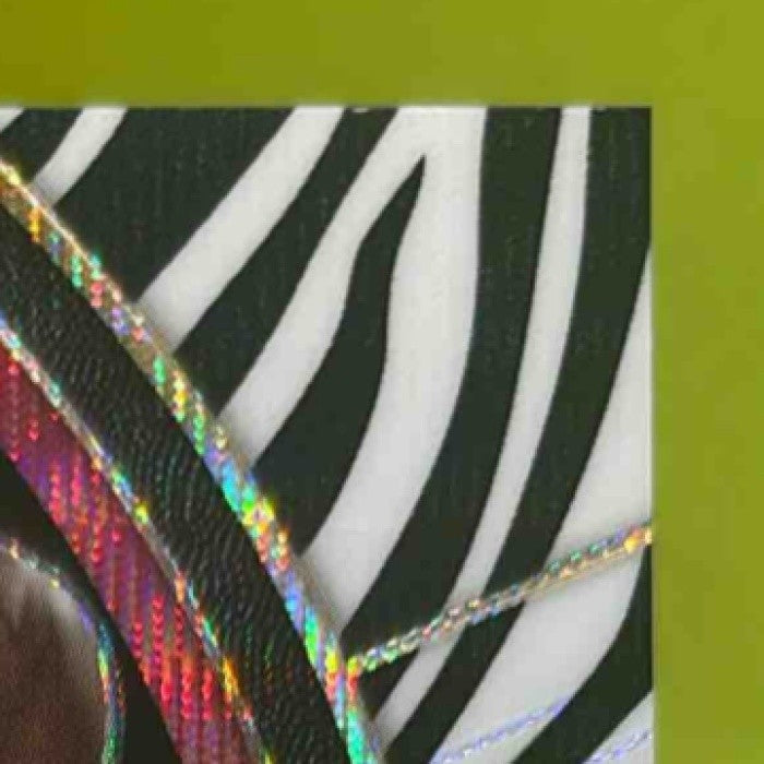 2017-18 Panini Select Jerian Grant Zebra Prizms #5 Concourse Chicago Bulls - Sports Cards