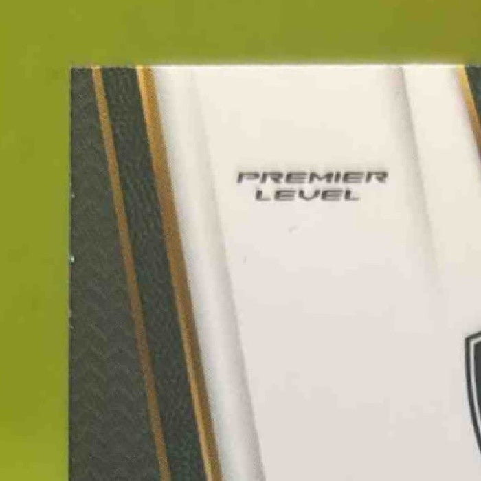2017-18 Panini Select Nik Stauskas Zebra Prizms #104 Premier Level Brooklyn Nets - Sports Cards