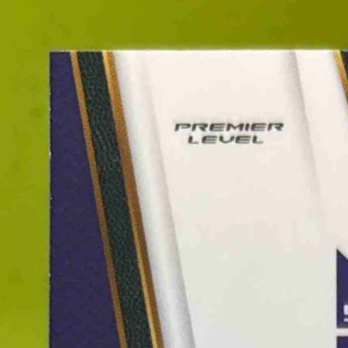 2017-18 Panini Select Skal Labissiere Zebra Prizms #136 Sacramento Kings - Sports Cards