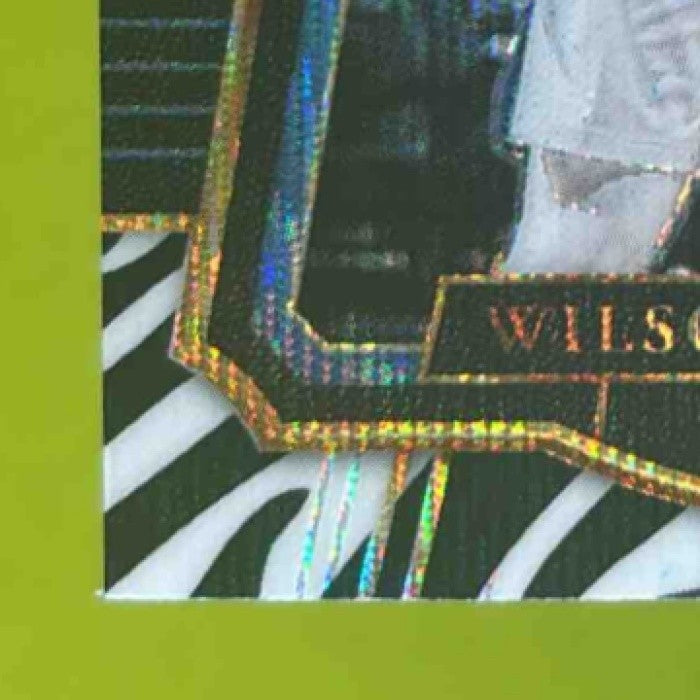 2017-18 Panini Select Wilson Chandler Zebra Prizms #178 Denver Nuggets - Sports Cards