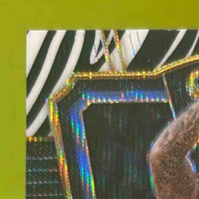 2017-18 Panini Select Wilson Chandler Zebra Prizms #178 Denver Nuggets - Sports Cards