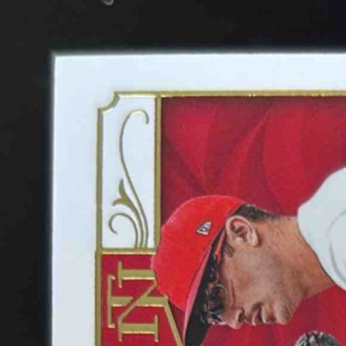 2019 National Treasures Daniel Ponce de Leon /49 #44 MEM Auto RC Cardinals - Sports Cards