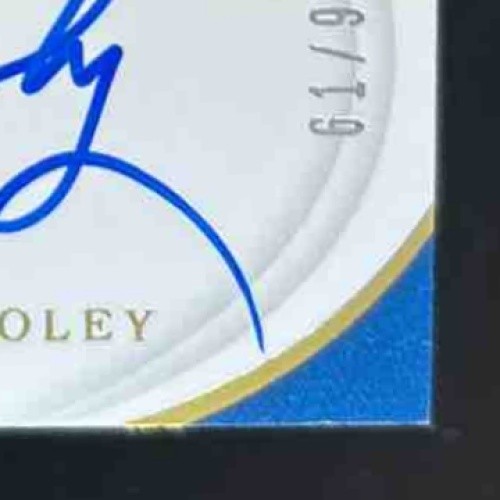 2019 Panini Immaculate Collection Sean Reid-Foley /49 #6 MEM Auto RC Blue Jays - Sports Cards