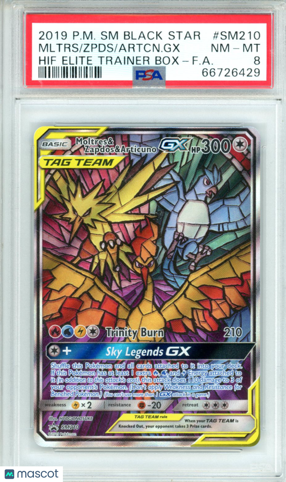 2019 Pokemon SM Black Star Promo Artcn. GX Mltrs Zpds #SM210 HIF ETB FA PSA 8 - Graded TCG/CCG
