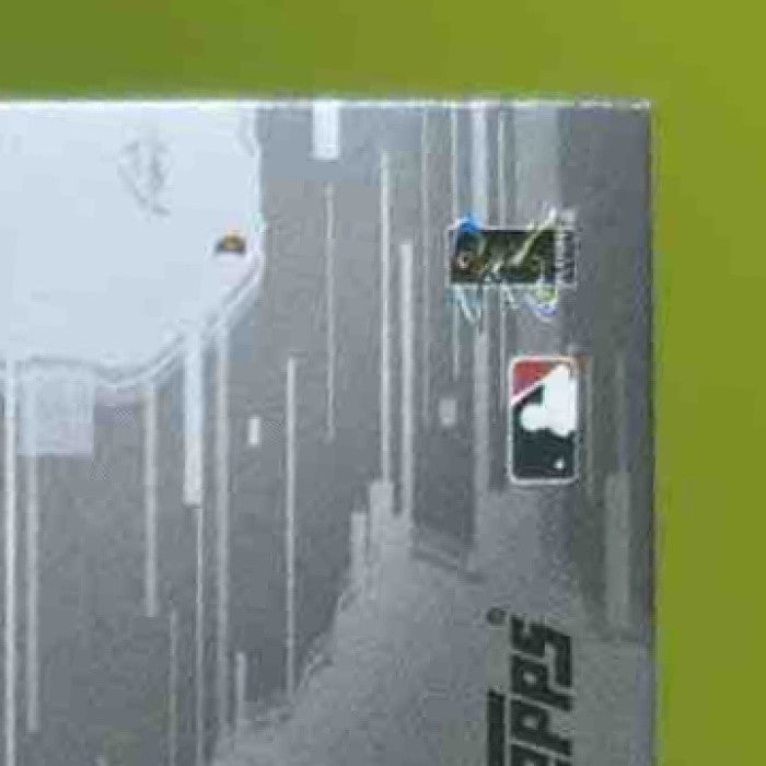 2020 Topps Aaron Judge Global Game Medallion Black 50/149 New York Yankees - Sports Cards