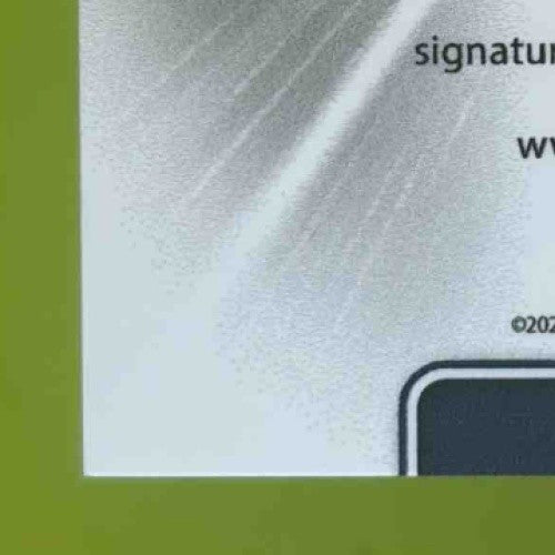 2021 Leaf Perfect Game National Showcase Reese Chapman Patch Auto Emerald /20 - Sports Cards