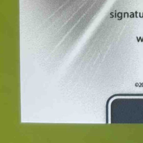 2021 Leaf Perfect Game National Showcase Roman Anthony Patch Auto Gold /12 PA-RA - Sports Cards