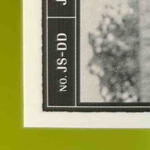 2022 Panini Three and Two Dom DiMaggio Jumbo Swatches Holo Silver 10/10 Game Bat - Sports Cards