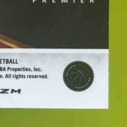 2023-24 Panini Select RJ Barrett Tiger Prizms #200 Premier Toronto Raptors - Sports Cards