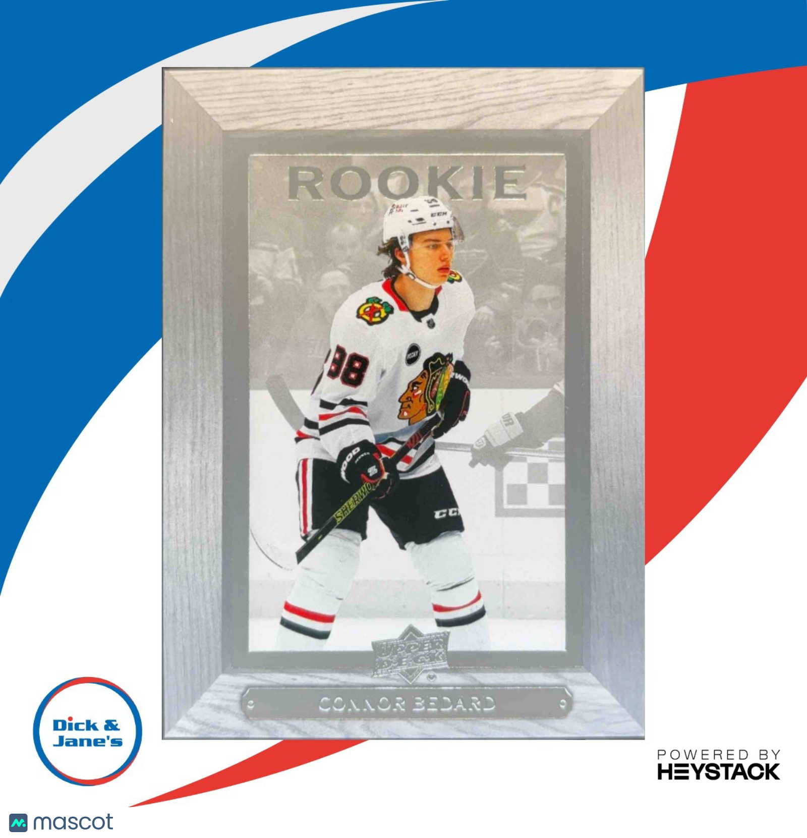 2023-24 Upper Deck Extended Series Connor Bedard 2003-04 Beehive RC Chicago - Sports Cards