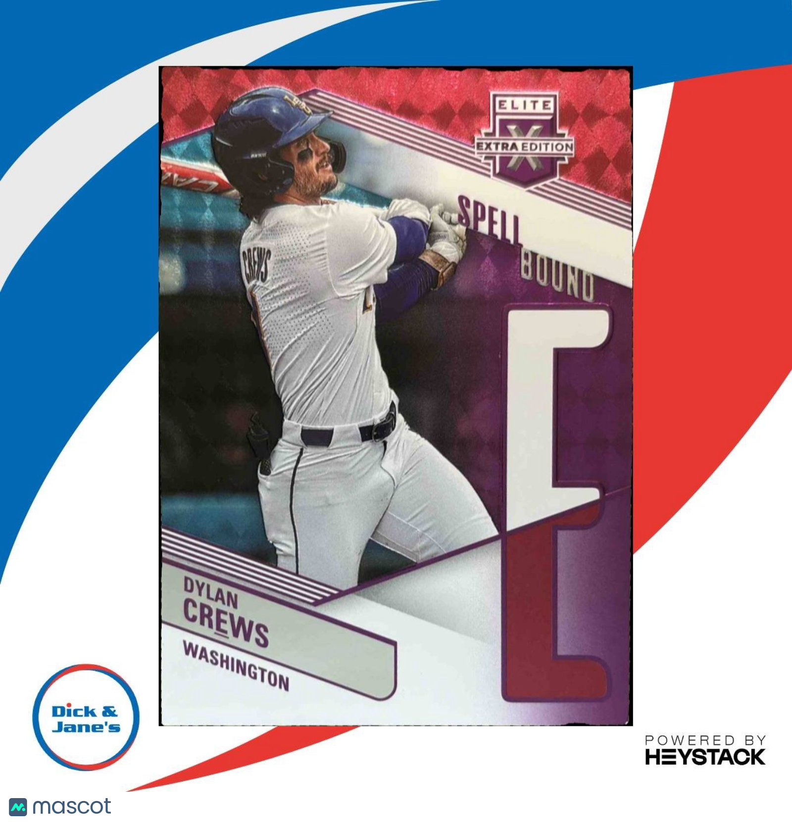 2023 Panini Elite Extra Edition Dylan Crews Spellbound Purple /49 Nationals - Sports Cards