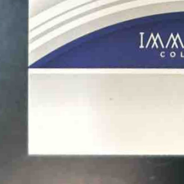 2023 Panini Immaculate Collection Jace Jung Patch Auto /99 RC Detroit Tigers - Sports Cards