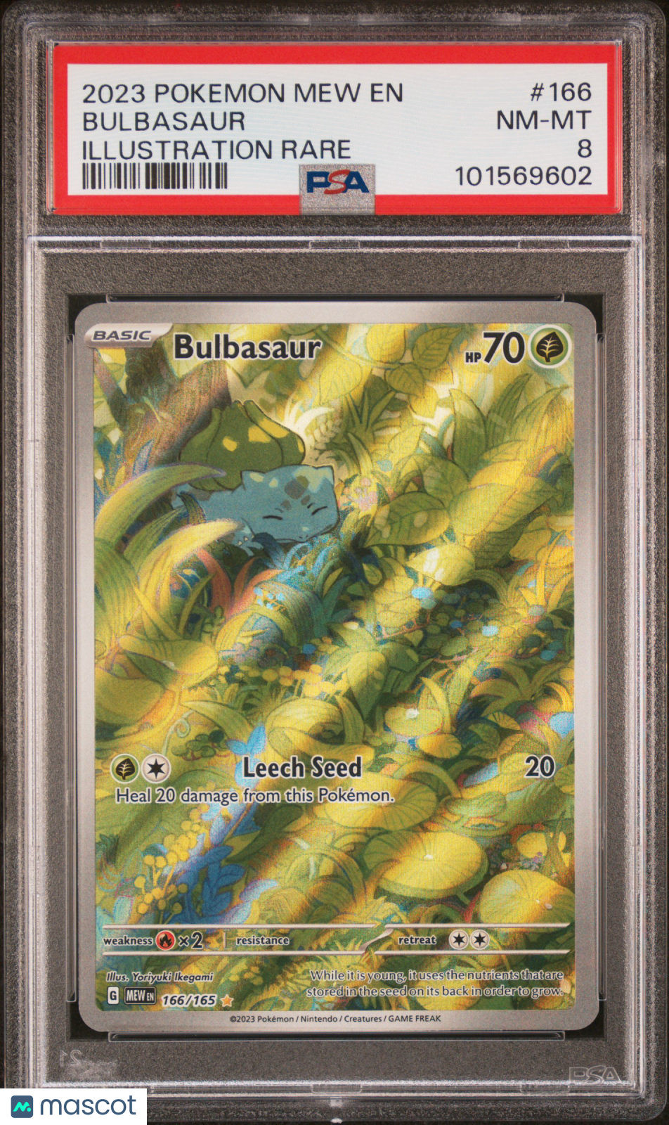 2023 Pokemon 151 Bulbasaur #166 Illustration Rare PSA 8 - Graded TCG/CCG