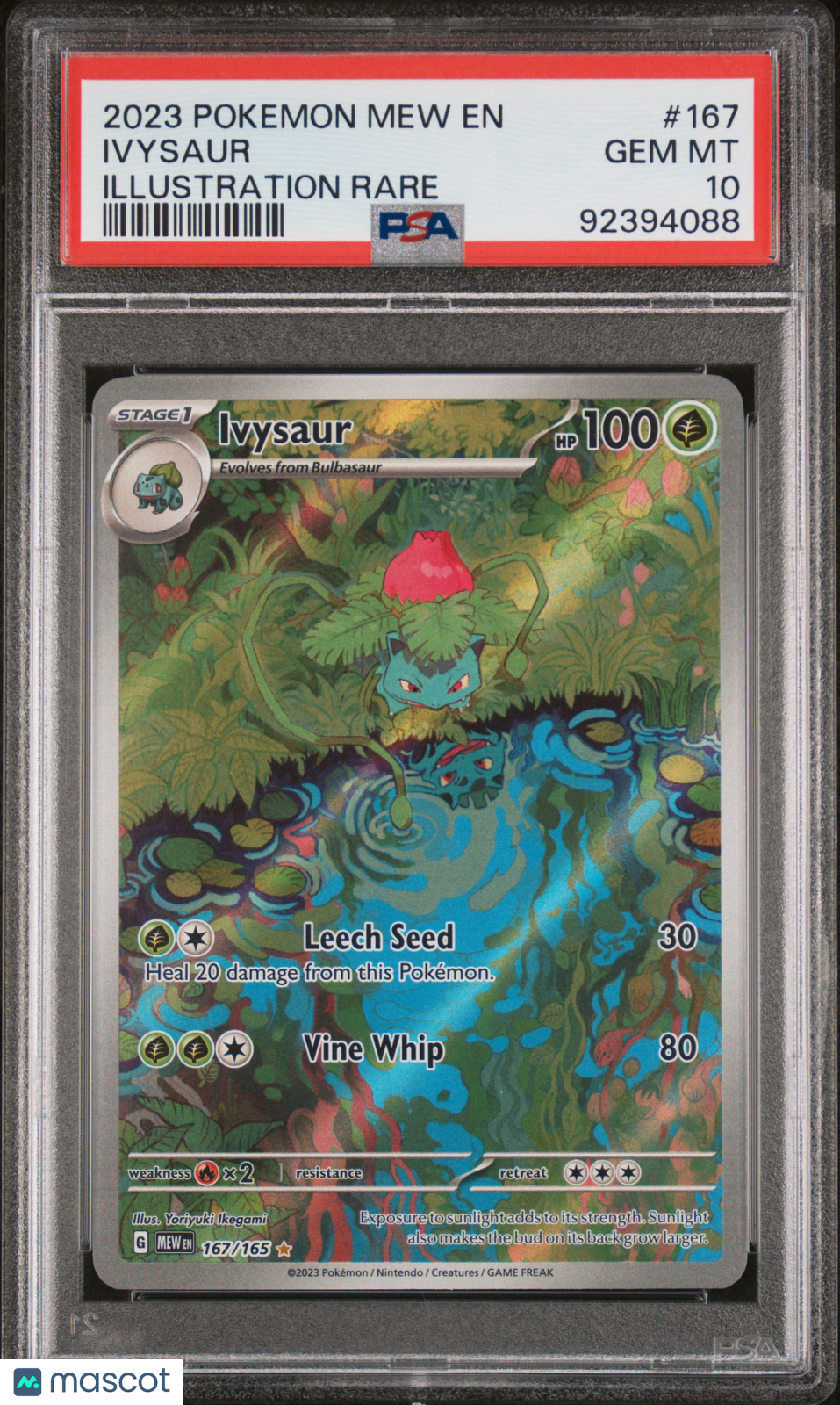 2023 Pokemon 151 Ivysaur #167 Illustration Rare PSA 10