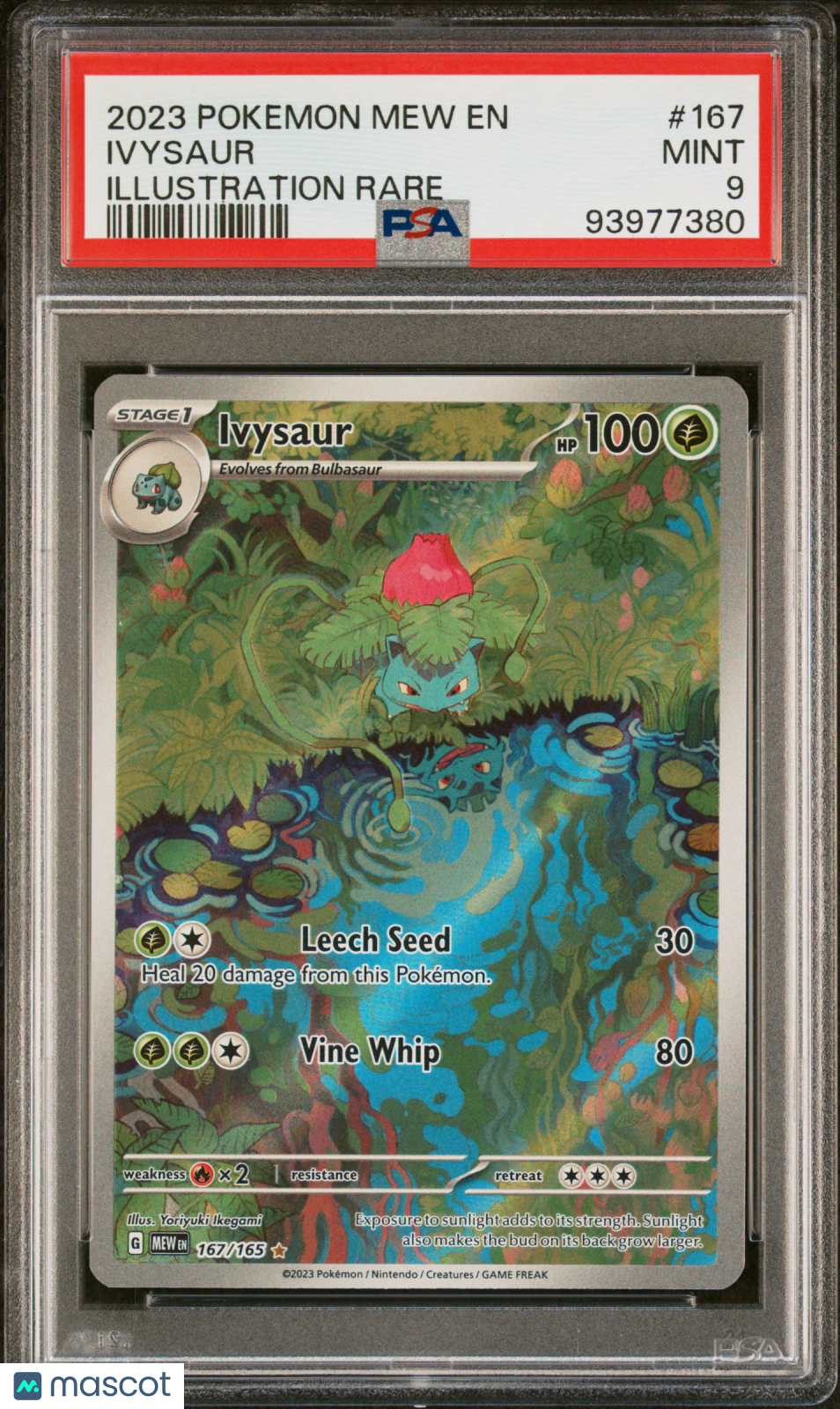 2023 Pokemon Mew EN-151 Ivysaur #167 Illustration Rare PSA 9 - Graded TCG/CCG