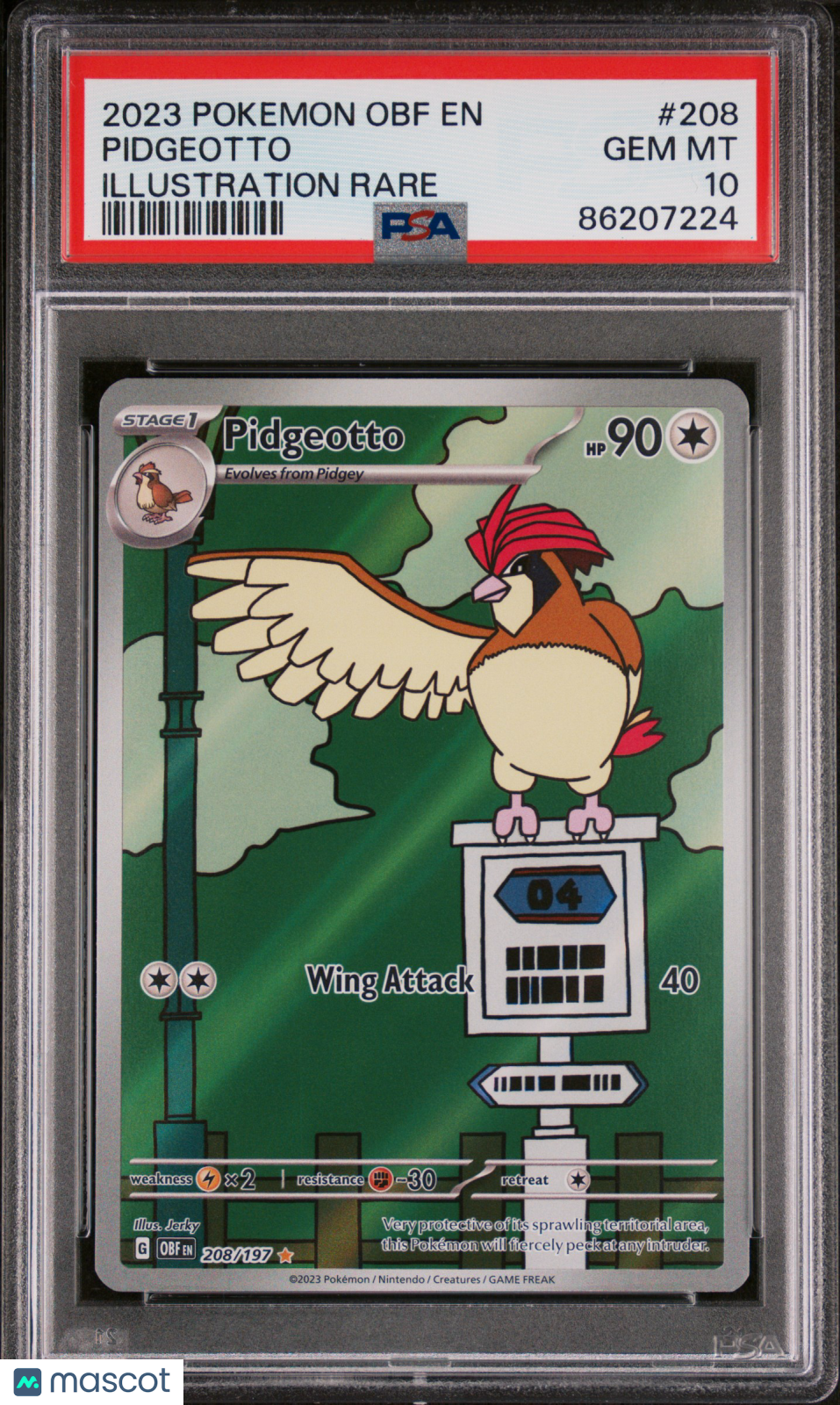 2023 Pokemon Obf EN-Obsidian Flames Pidgeotto #208 Illustration Rare PSA 10 - Graded TCG/CCG