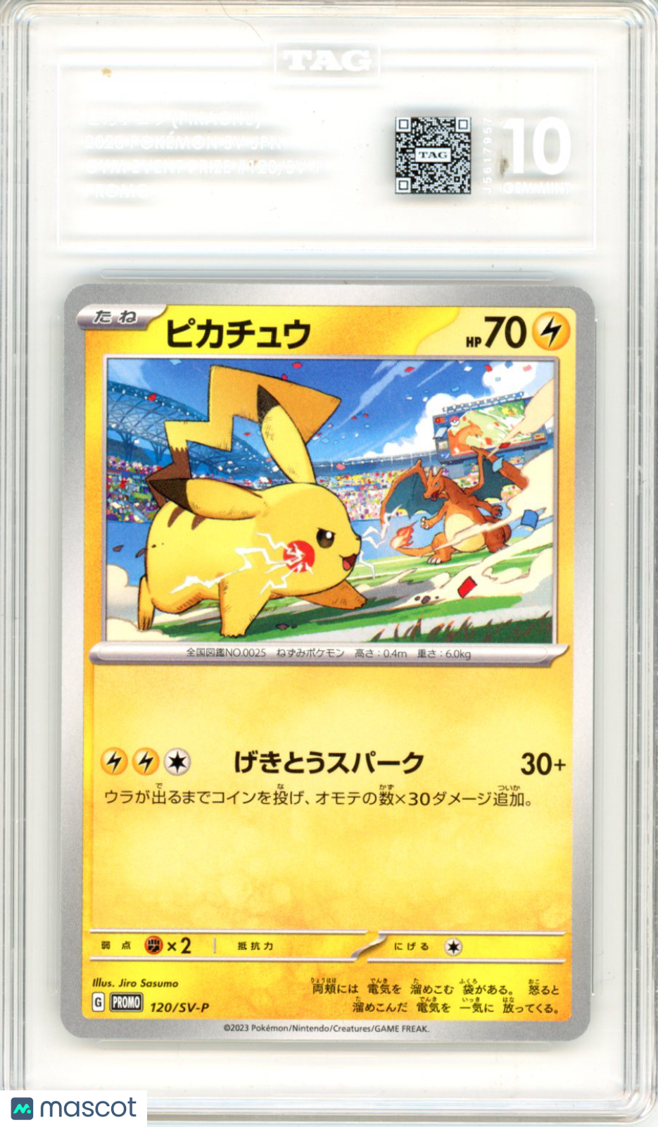 ブラッキー 2023 POKEMON SV-P JP 2023 Pokemon Scarlet & Violet Promos Japanese Pikachu