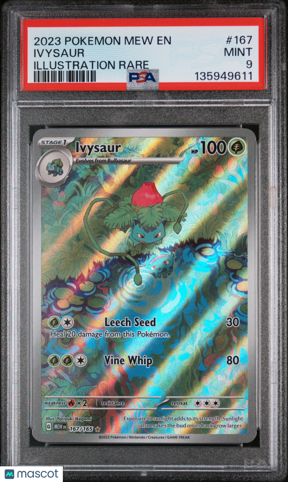2023 Pokemon SV 151 Ivysaur #167 English Illustration Rare PSA 9 MINT - Graded TCG/CCG