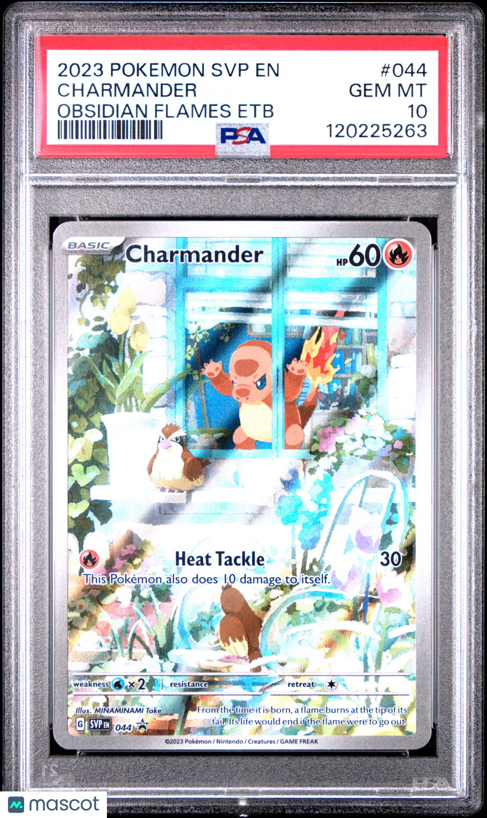 2023 Pokemon SV Black Star Promo Charmander #044